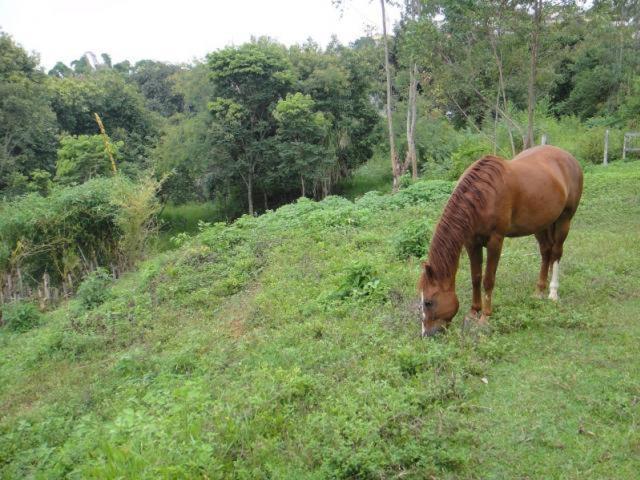 Vereda Bike Park Hotel São João del Rei 外观 照片