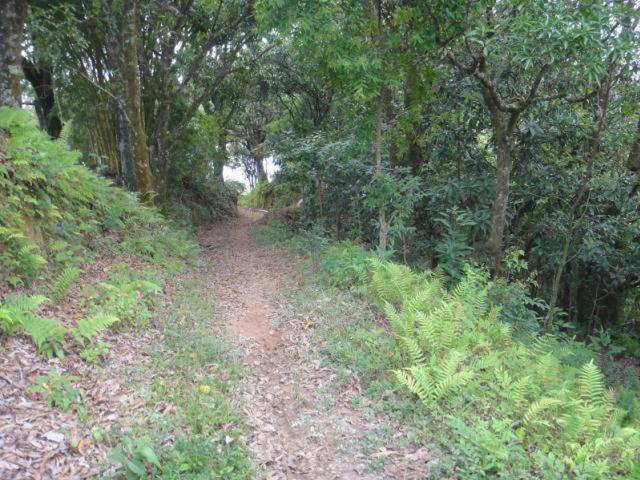 Vereda Bike Park Hotel São João del Rei 外观 照片